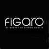 Figaro International Management Group