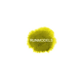 RUN MODELS