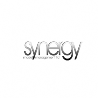 Synergy models